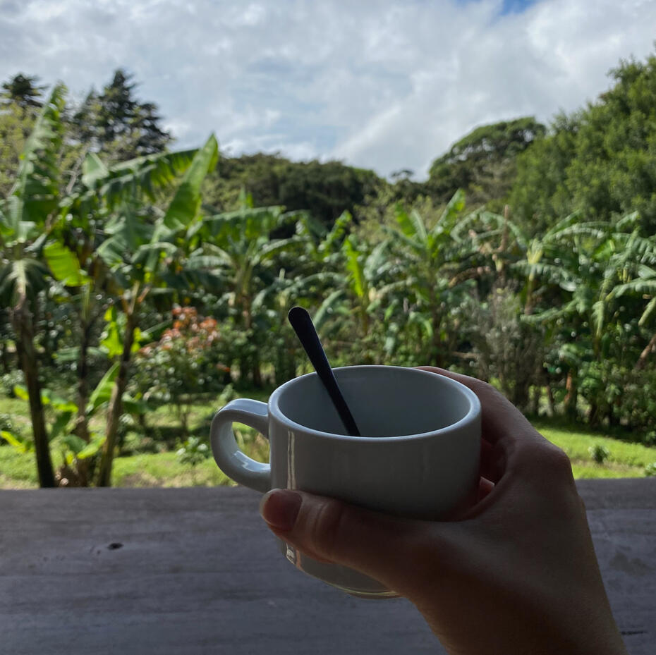 Holding a coffee cup in front of a jungle.